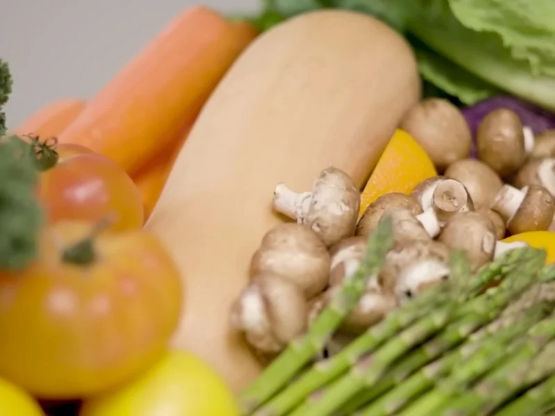 Plant-Rich Diet